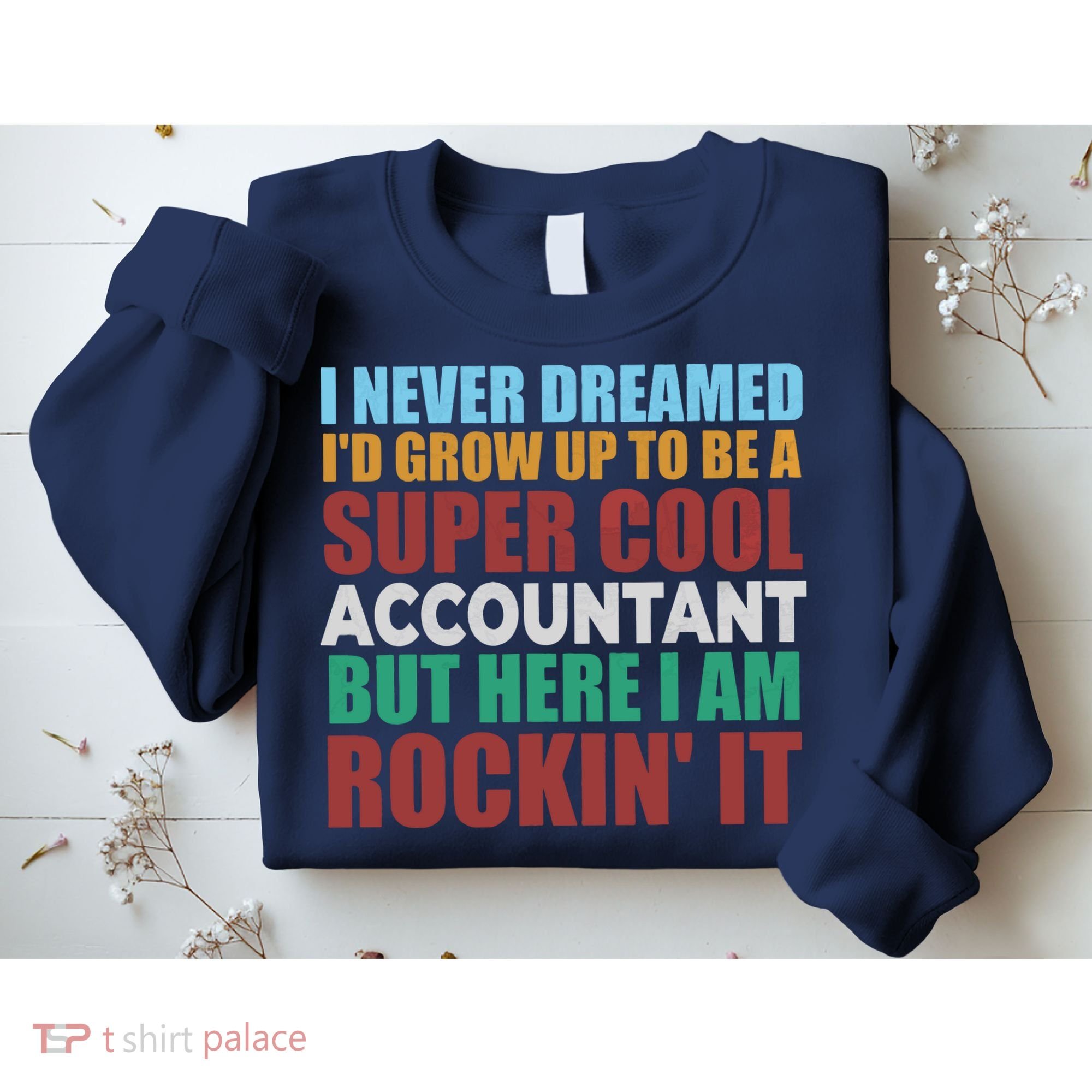 Funny Accountant Gift Accounting Major Bookkeeper CPA Retro Sweatshirt