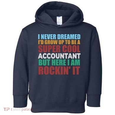 Funny Accountant Gift Accounting Major Bookkeeper CPA Retro Toddler Hoodie