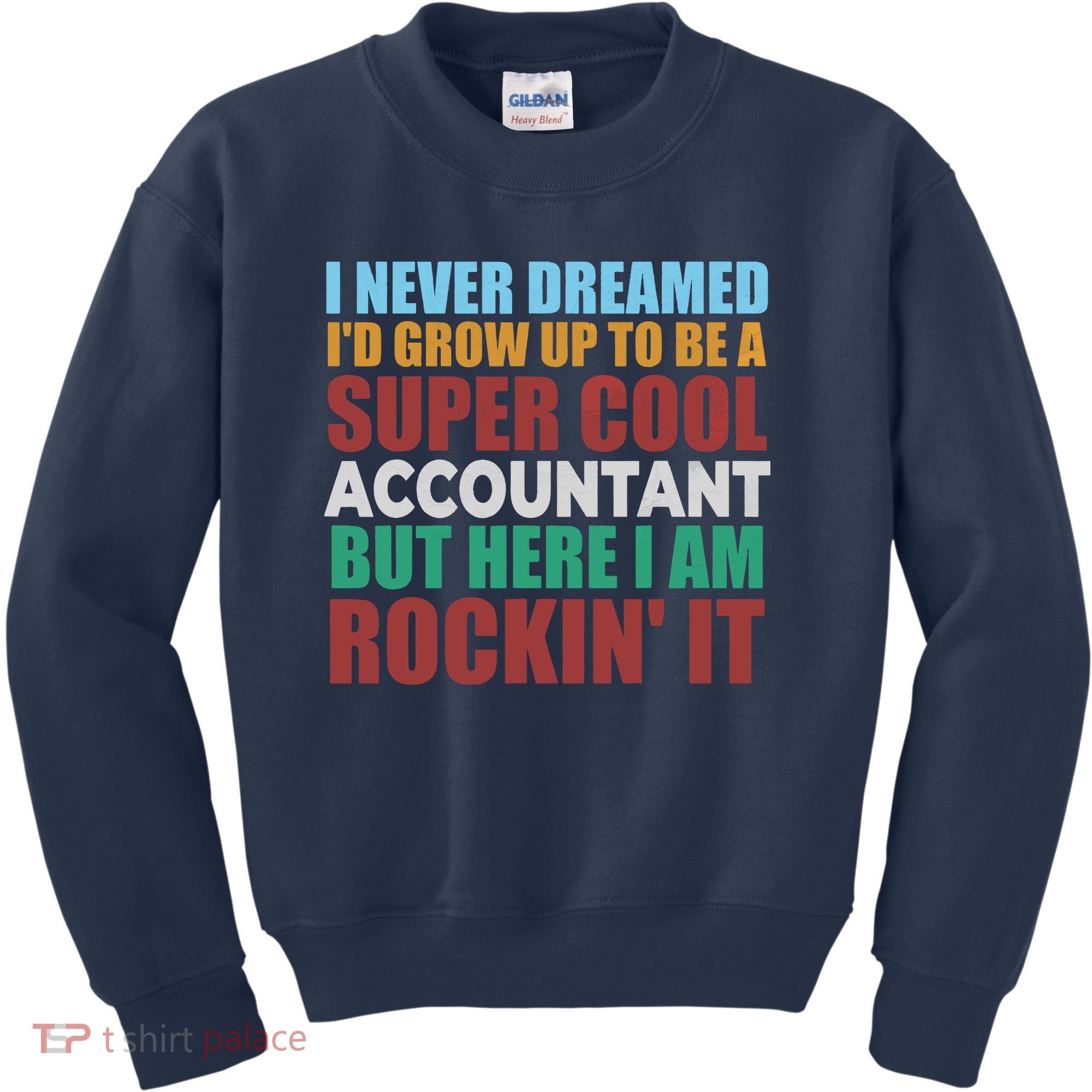 Funny Accountant Gift Accounting Major Bookkeeper CPA Retro Kids Sweatshirt