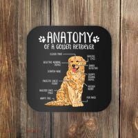 Funny Anatomy Golden Retriever Dog Lover Coaster thumb 0