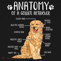 Funny Anatomy Golden Retriever Dog Lover Women's Hoodie thumb 2