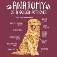 Funny Anatomy Golden Retriever Dog Lover 16oz Travel Tumbler thumb 2