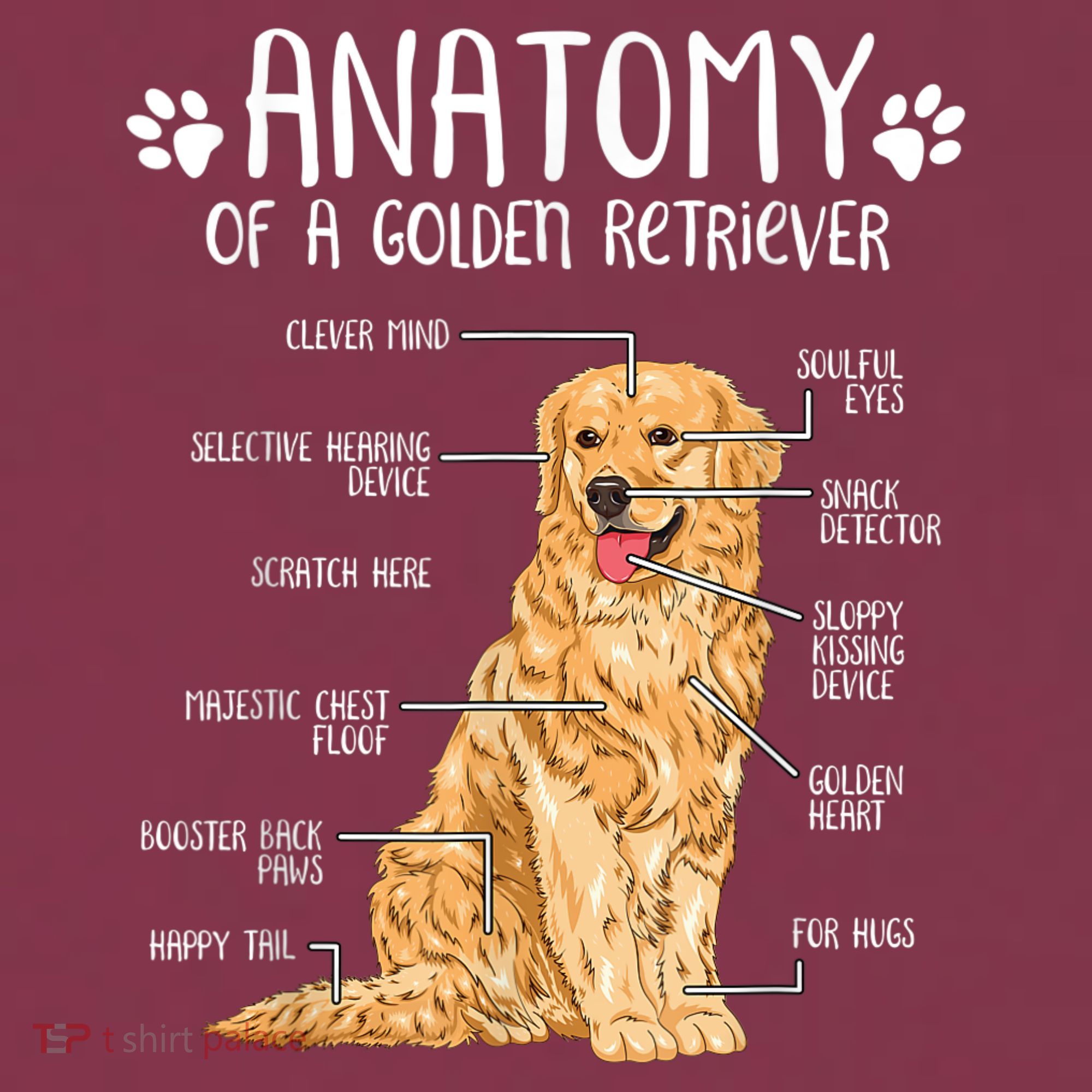 Funny Anatomy Golden Retriever Dog Lover 16oz Travel Tumbler