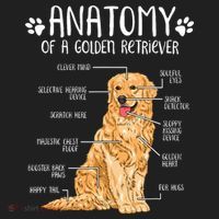 Funny Anatomy Golden Retriever Dog Lover Hat thumb 2