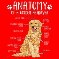 Funny Anatomy Golden Retriever Dog Lover Santa Hat thumb 1