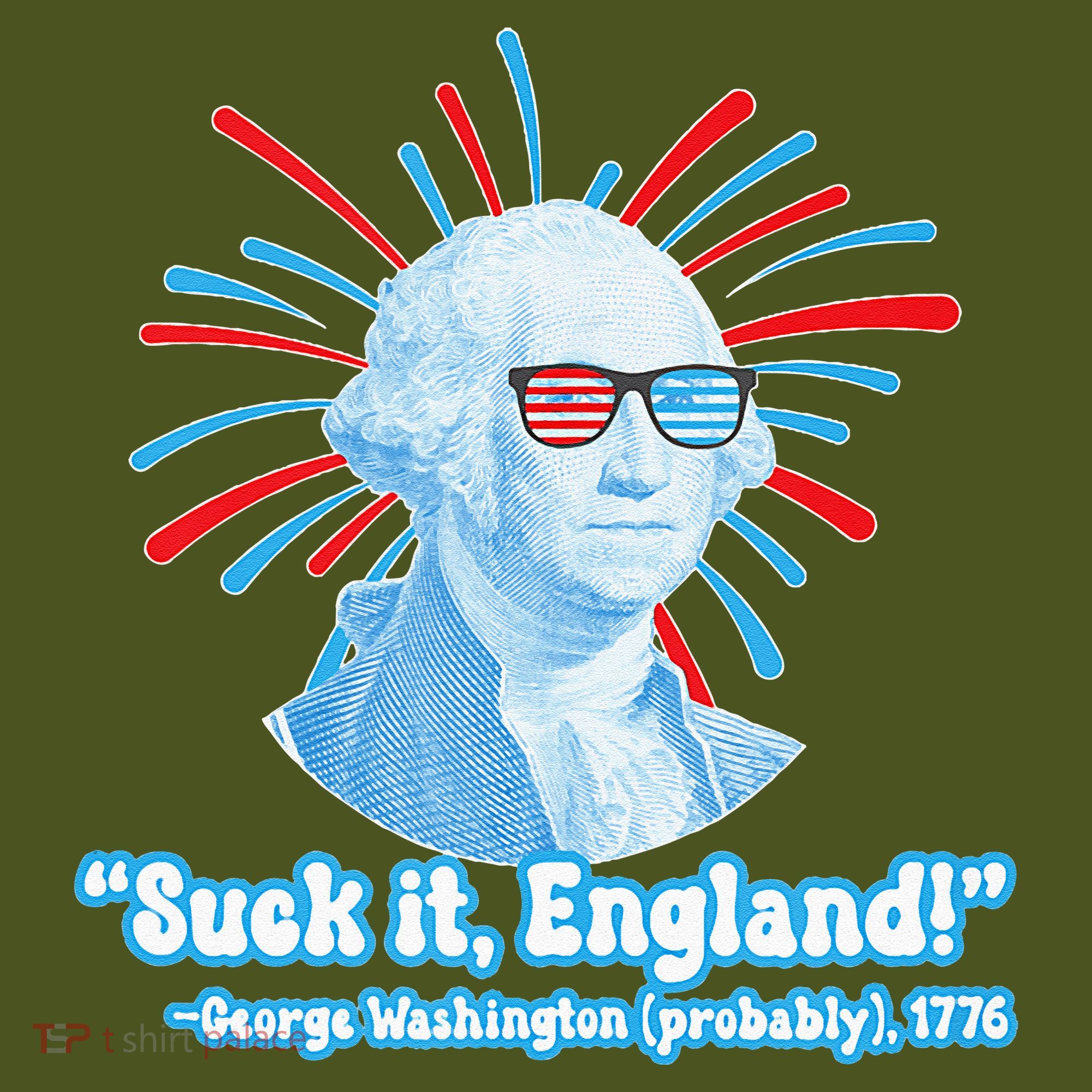 Funny American Gift Suck It England George Washington The Baniff Cuffed Pom Beanie