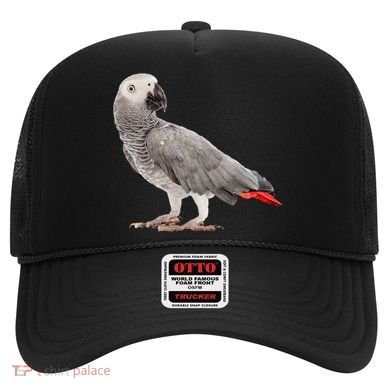 Funny African Grey Parrot Bird Gift Hat