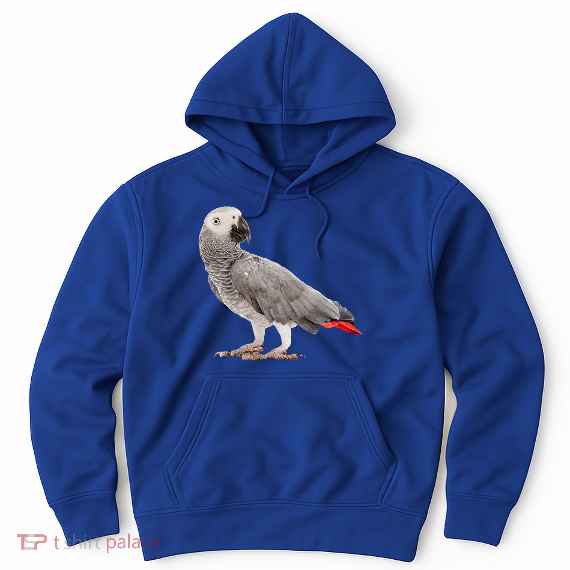 Funny African Grey Parrot Bird Gift Hoodie