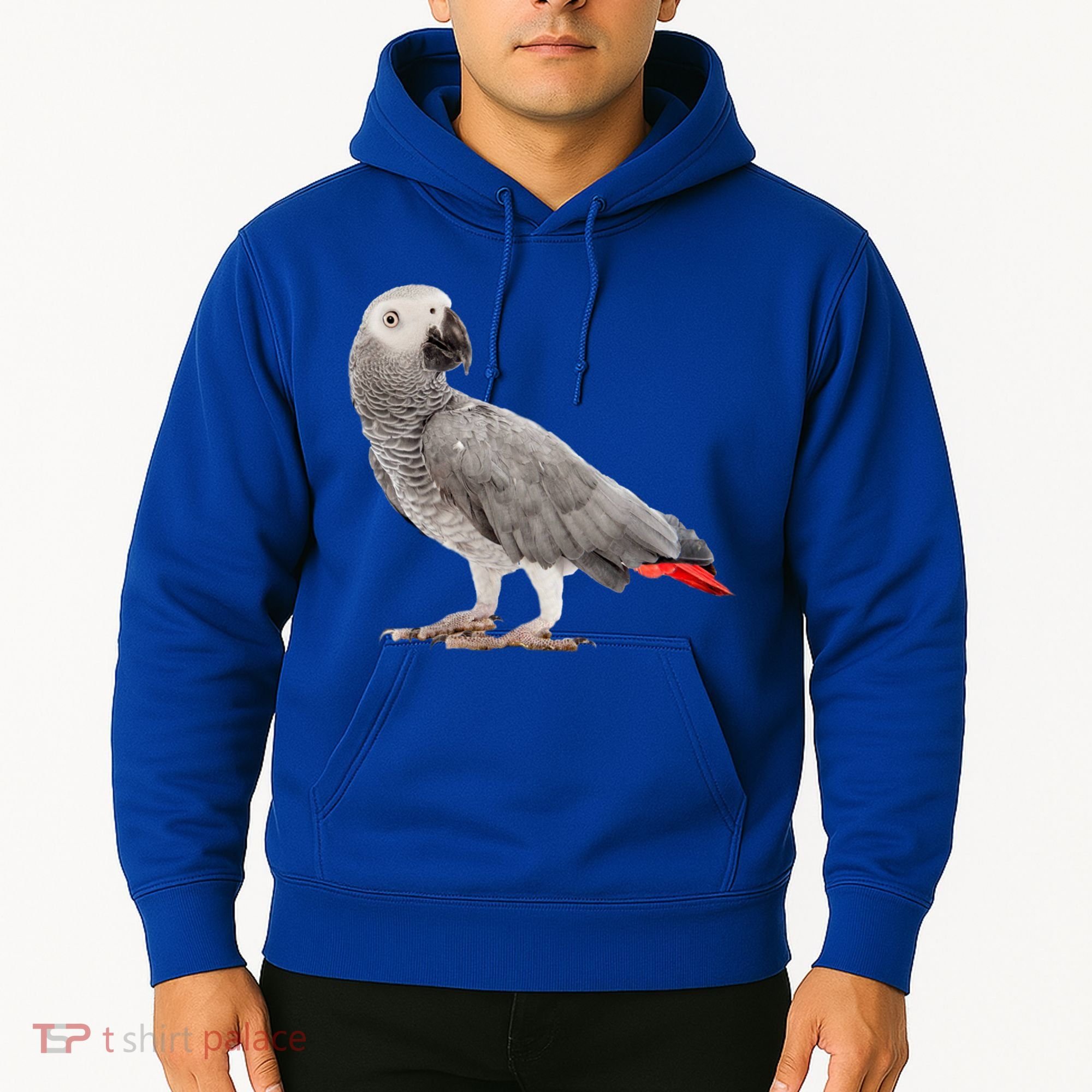 Funny African Grey Parrot Bird Gift Hoodie
