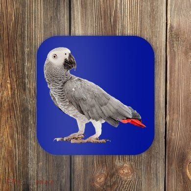 Funny African Grey Parrot Bird Gift Coaster