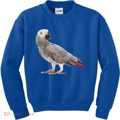 Funny African Grey Parrot Bird Gift Kids Sweatshirt