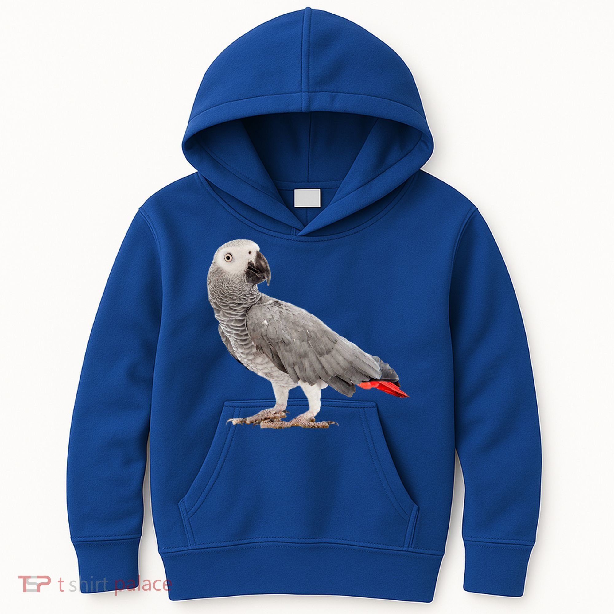 Funny African Grey Parrot Bird Gift Kids Hoodie