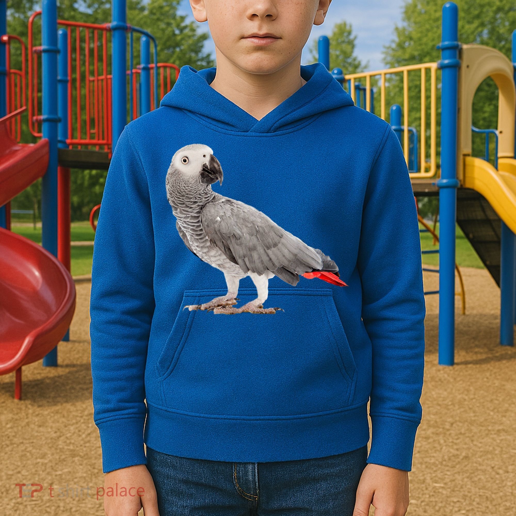 Funny African Grey Parrot Bird Gift Kids Hoodie