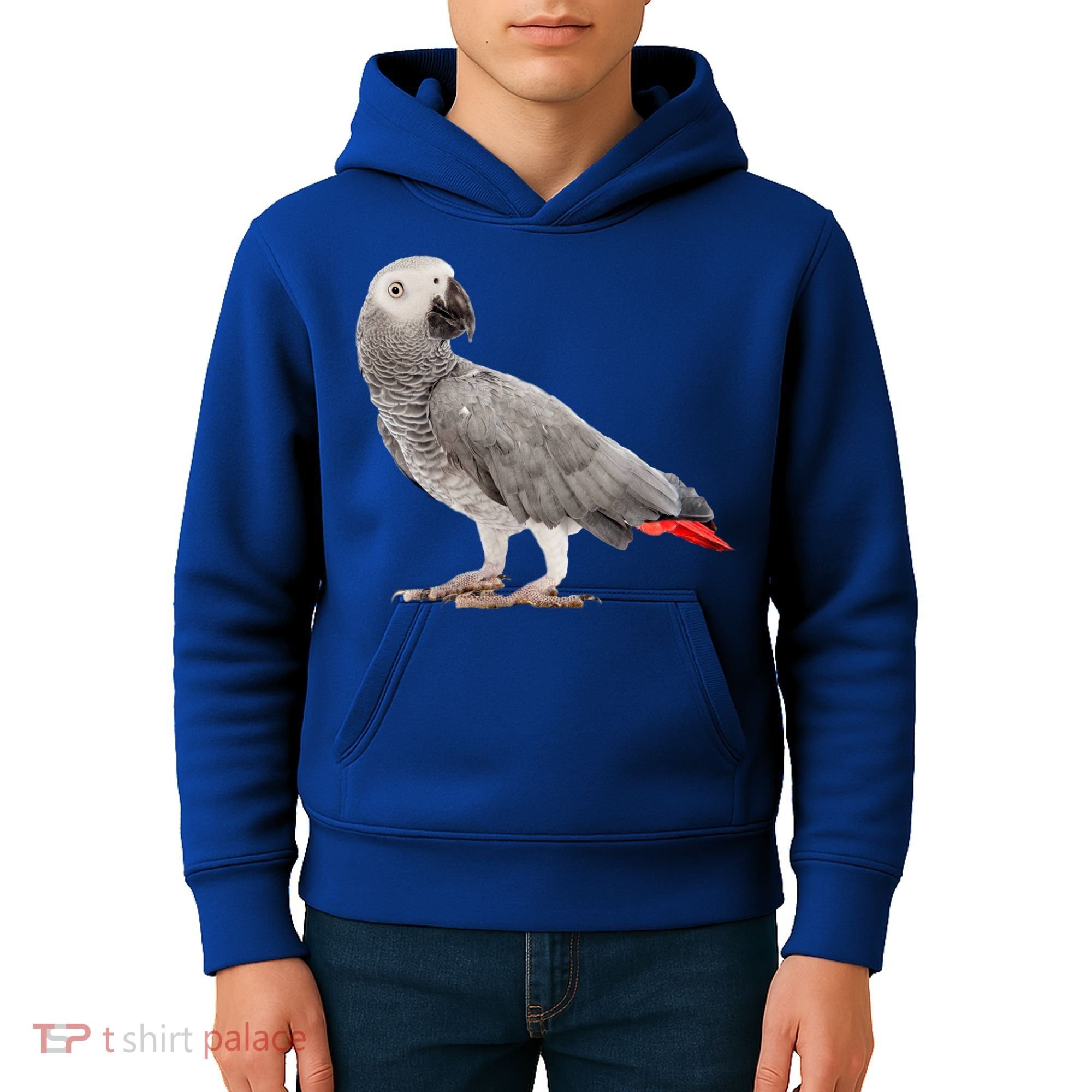 Funny African Grey Parrot Bird Gift Kids Hoodie