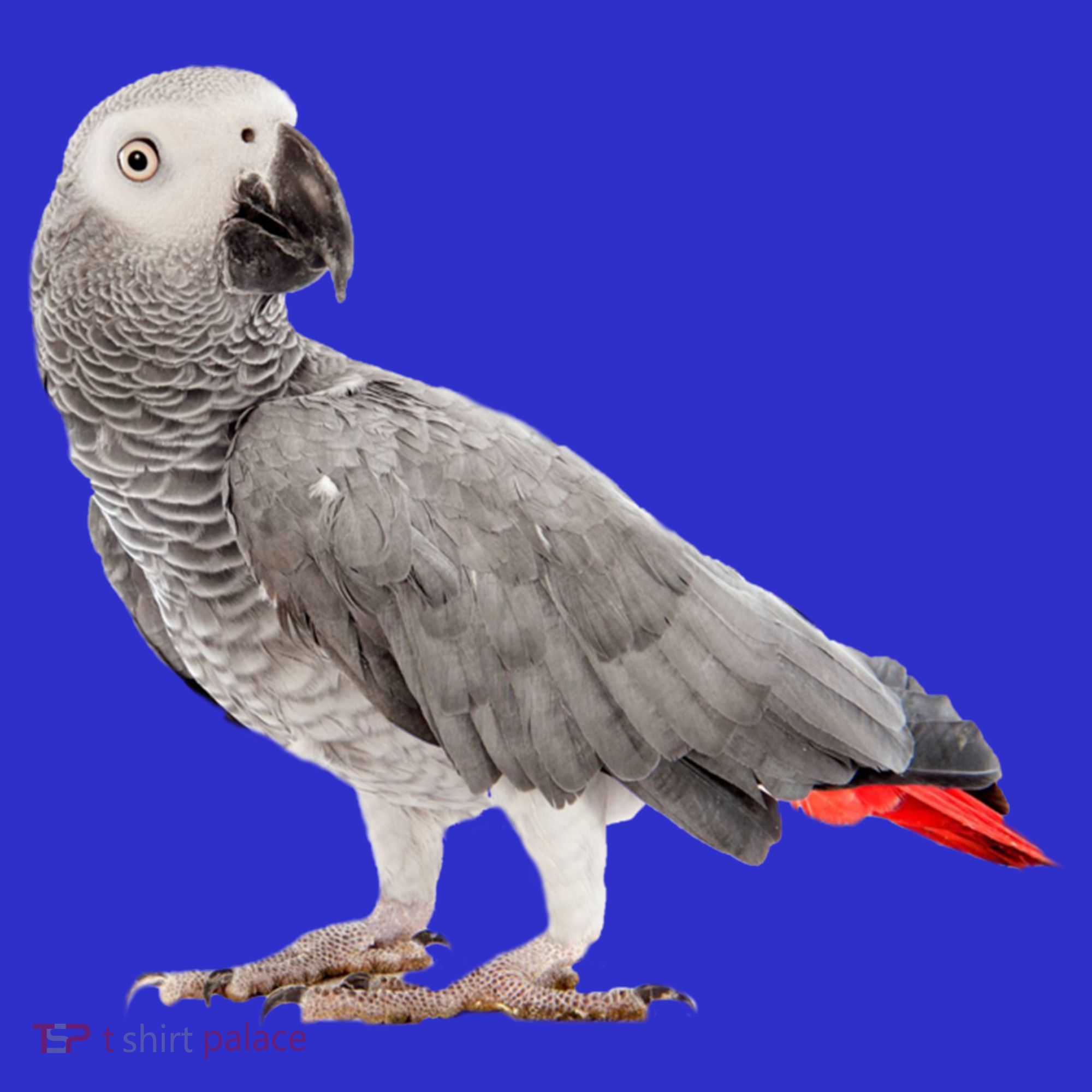 Funny African Grey Parrot Bird Gift Tote Bag