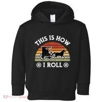Funny Amish Horse & Buggy This Is How I Roll Lancaster Pa. Toddler Hoodie thumb 0