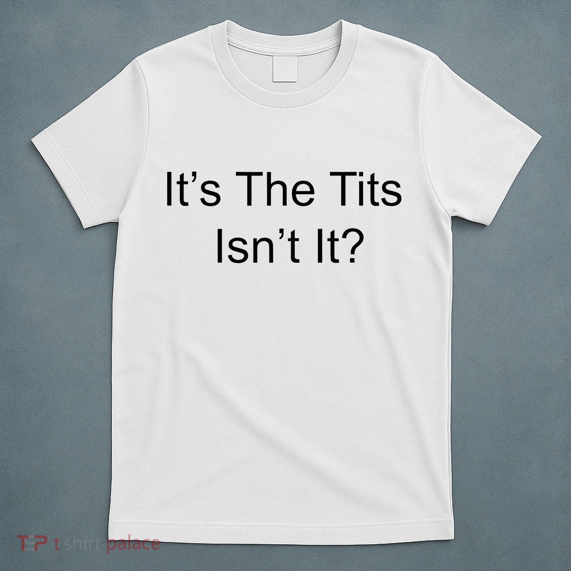 Funny Adult Humor Its The Tits Isnt It Boobs T-Shirt