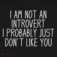 Funny Antisocial Introvert Women's Long Sleeve Shirt thumb 2