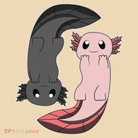 Funny Axolotl  I Yin Yang Reptile  Tote Bag thumb 4