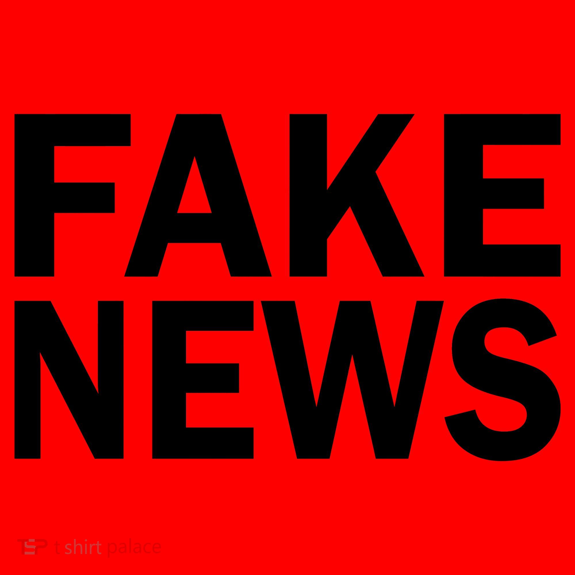 Fake News Bold Text Santa Hat