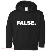 False. Toddler Hoodie thumb 0