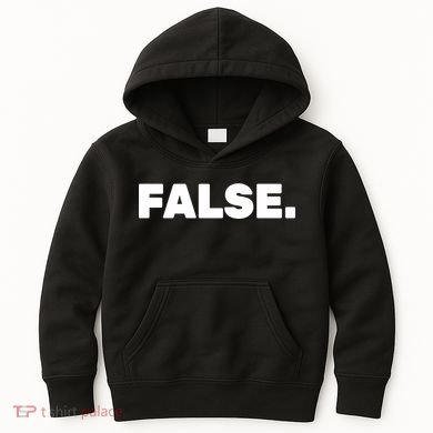 False. Kids Hoodie