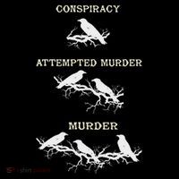 Funny Attempted Murder Crow Toddler Hoodie thumb 2