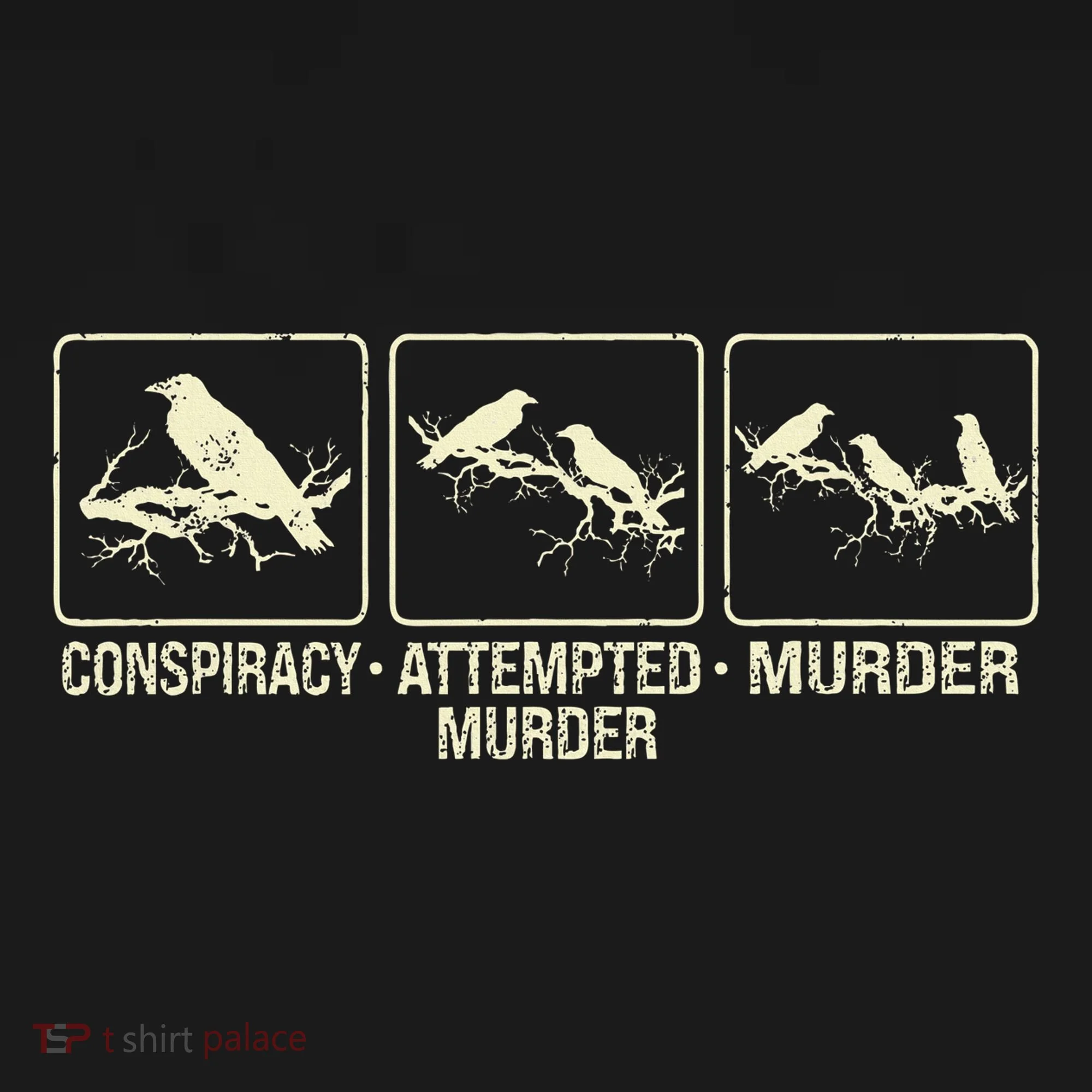 Funny Attempted Murder Crow Women's Hoodie