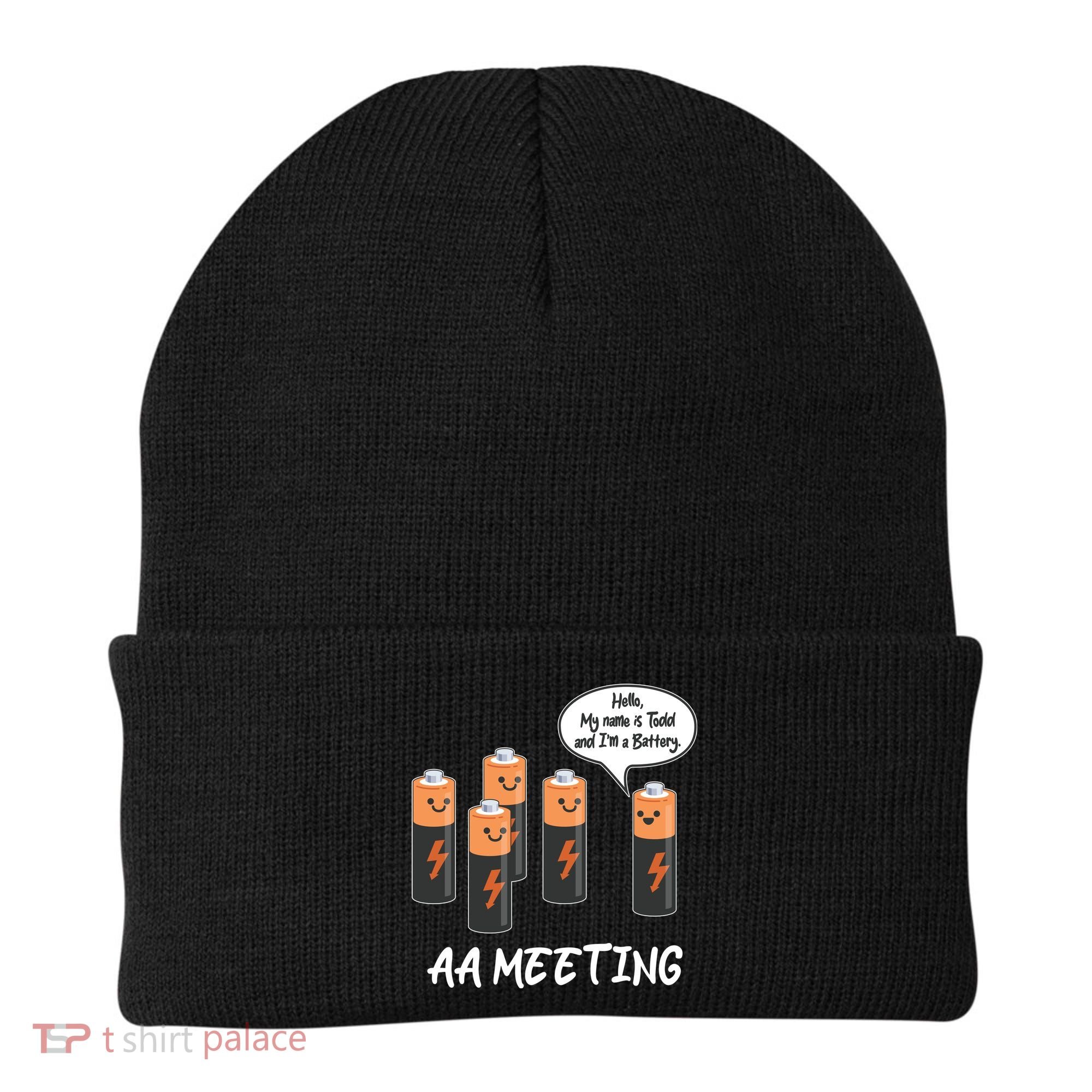 Funny AA Meeting AA Batteries Beanie