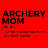 Funny Archery Mom Definition Gift Santa Hat thumb 1