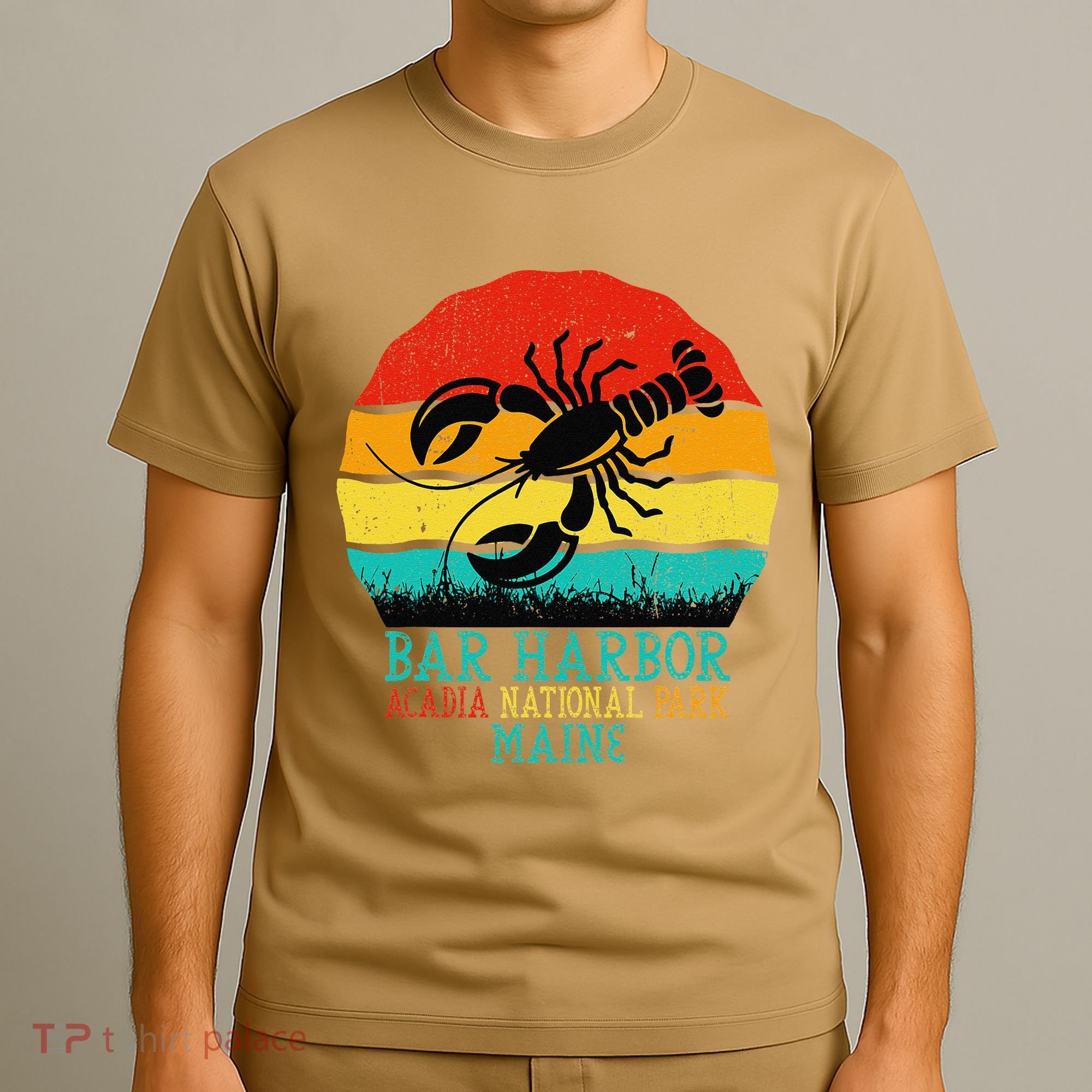 Funny Acadia National Park Bar Harbor Maine Vintage Lobster T-Shirt