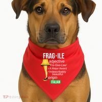 Fragile Adjective Origin Italian A Major Award USA-Made Doggie Bandana thumb 1