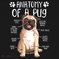 Funny Anatomy Pug Dog Pug Lover USA-Made Doggie Bandana thumb 2