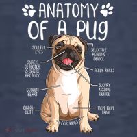 Funny Anatomy Pug Dog Pug Lover Women's T-Shirt thumb 6