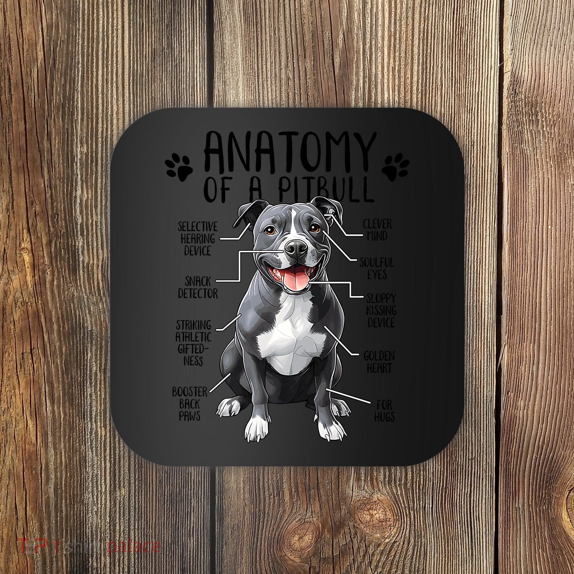Funny Anatomy Pitbull Dog Cute Pittie Lover Pit Bull Owner Coaster