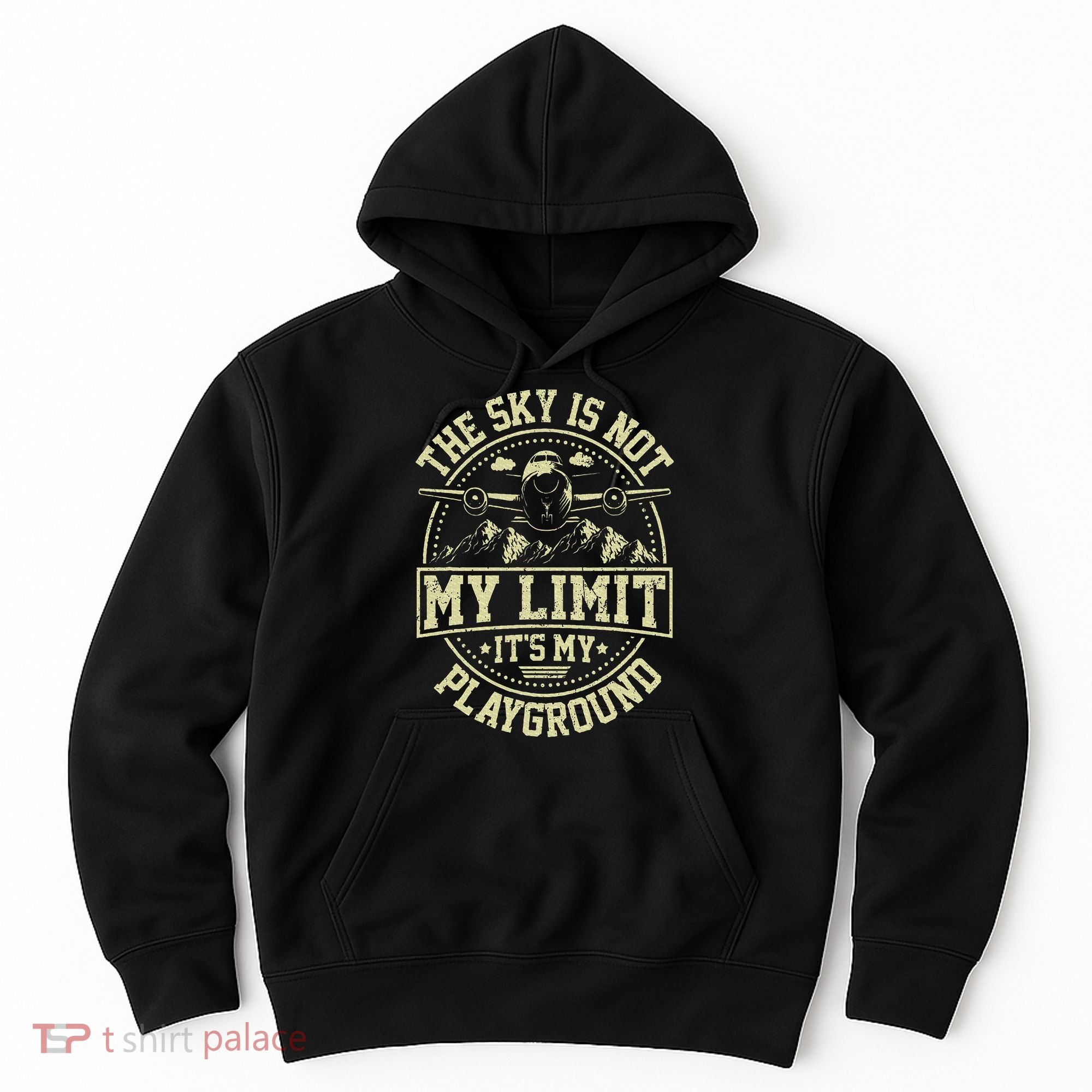 Funny Aviator Pilot Airplane Plane Aviation Gifts Hoodie