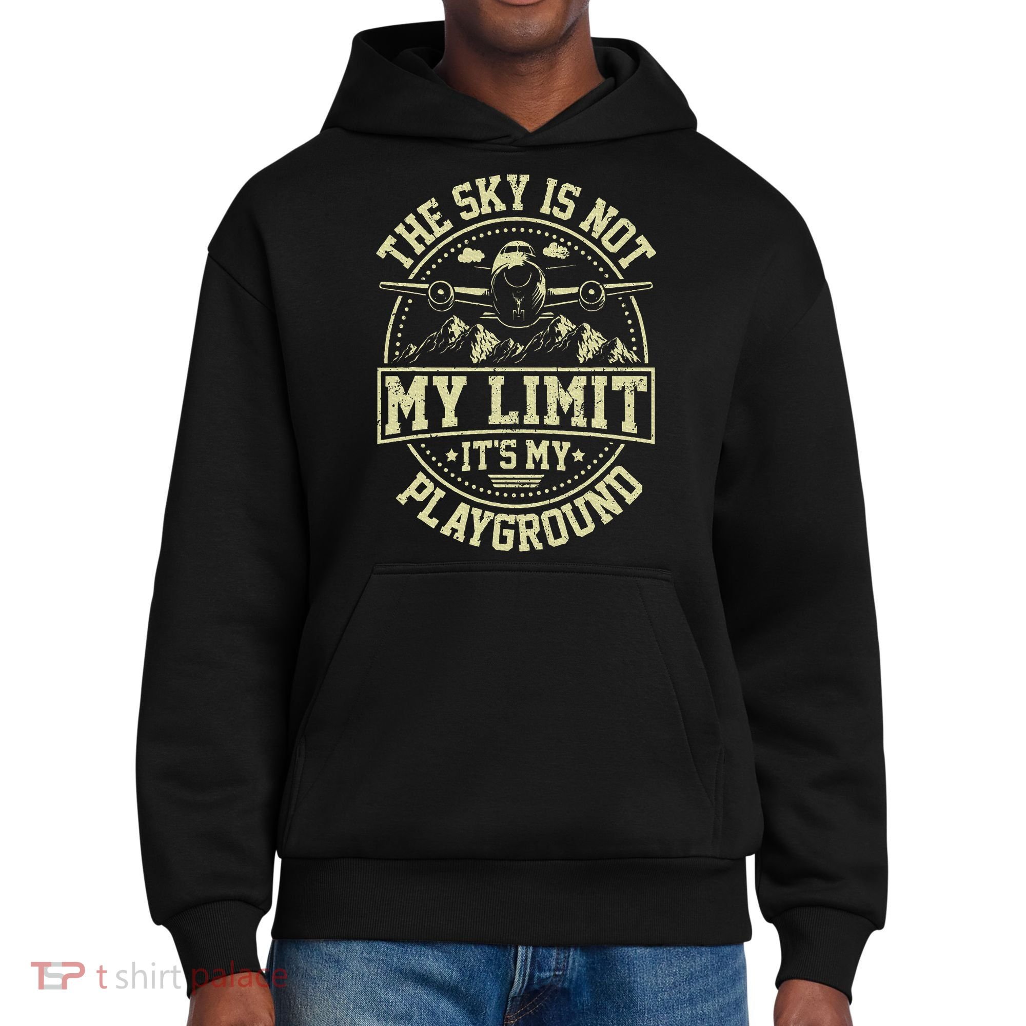 Funny Aviator Pilot Airplane Plane Aviation Gifts District V.I.T. Heavyweight Hoodie