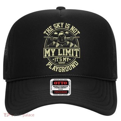 Funny Aviator Pilot Airplane Plane Aviation Gifts Hat