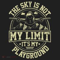 Funny Aviator Pilot Airplane Plane Aviation Gifts Hat thumb 2