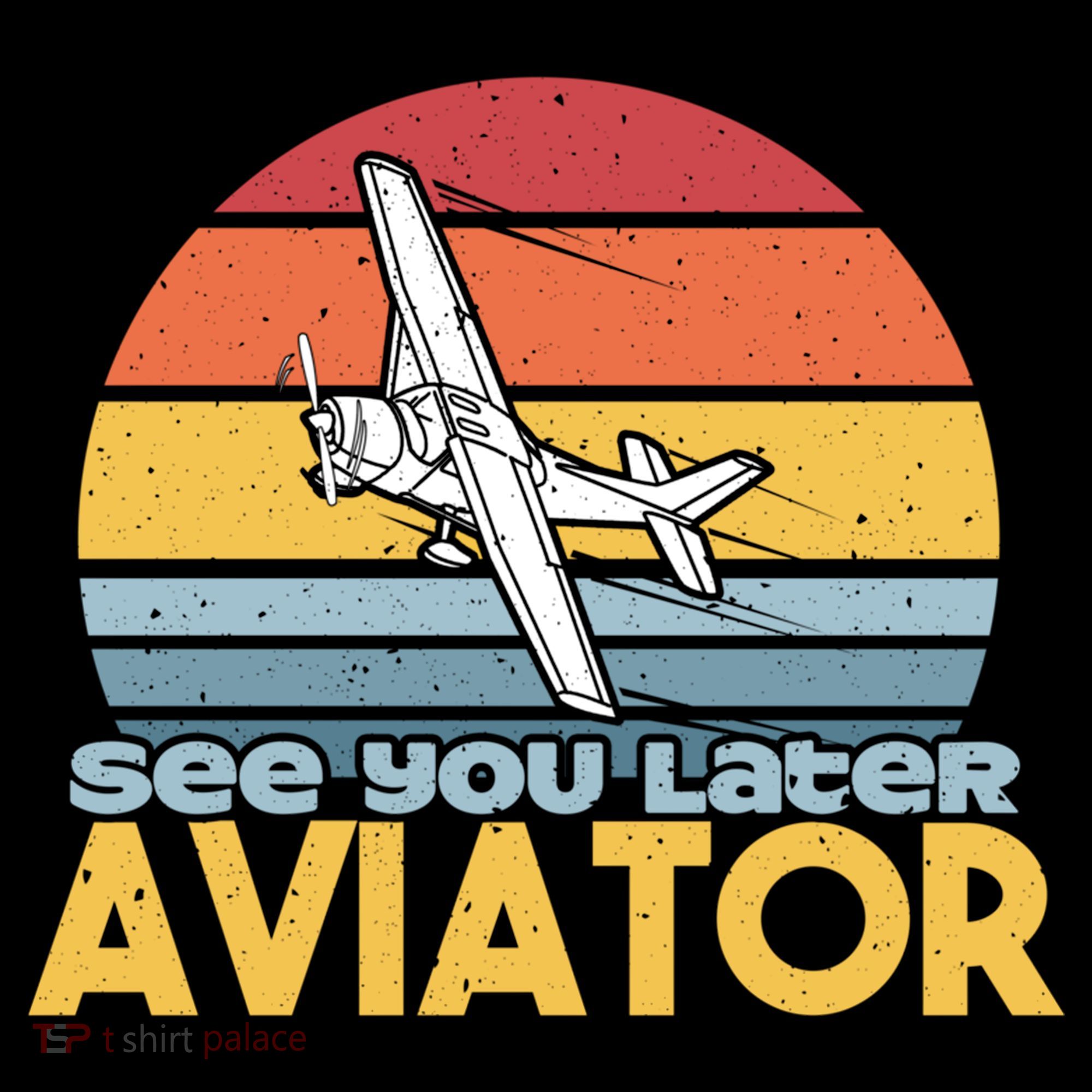 Funny Airplane Pilot Costume See You Later Aviator Pilot Meaningful Gift Women's Hoodie