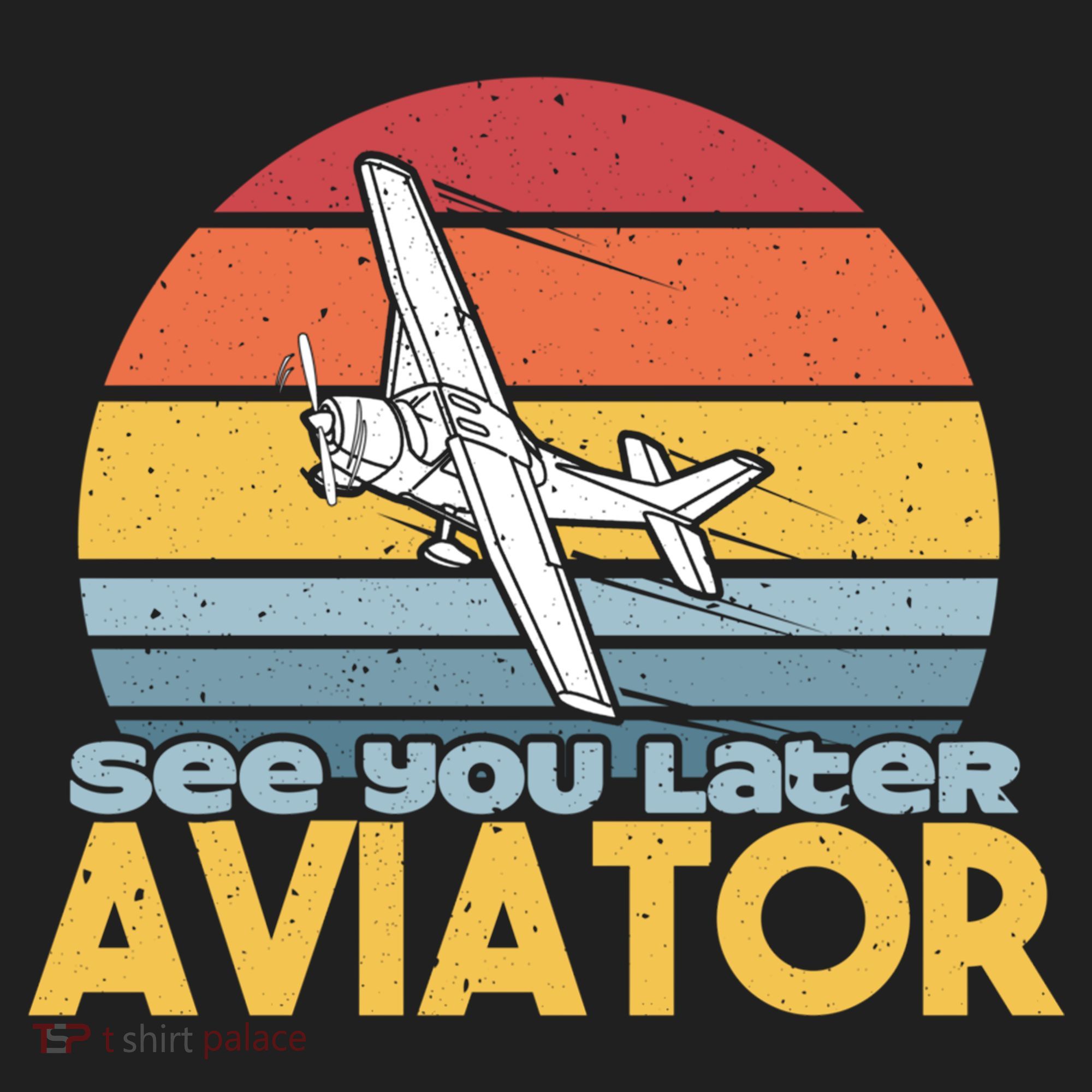 Funny Airplane Pilot Costume See You Later Aviator Pilot Meaningful Gift Hat