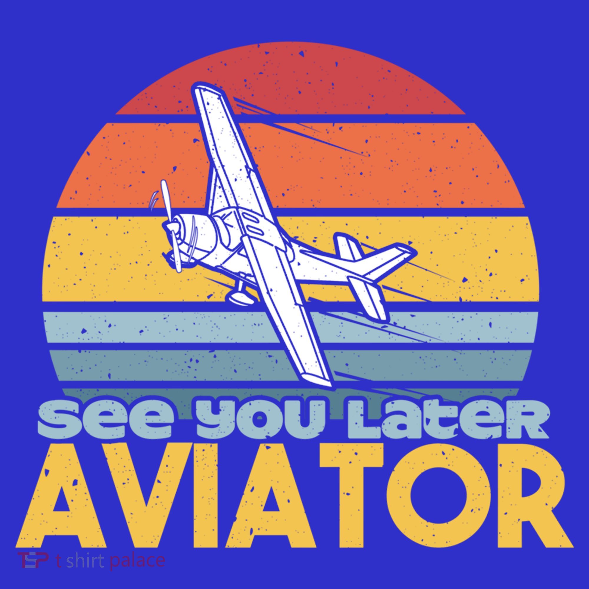 Funny Airplane Pilot Costume See You Later Aviator Pilot Meaningful Gift Hoodie