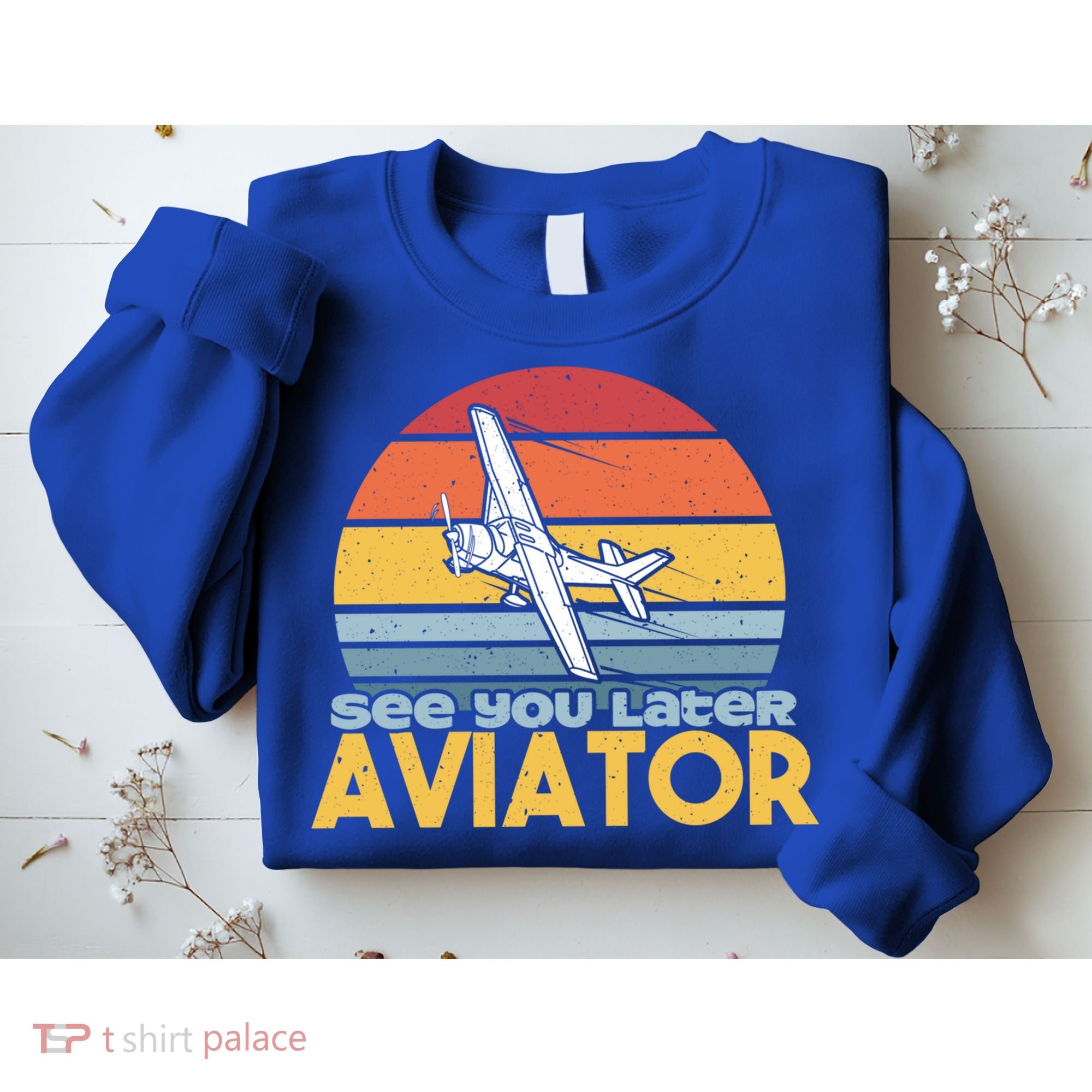 Funny Airplane Pilot Costume See You Later Aviator Pilot Meaningful Gift Sweatshirt