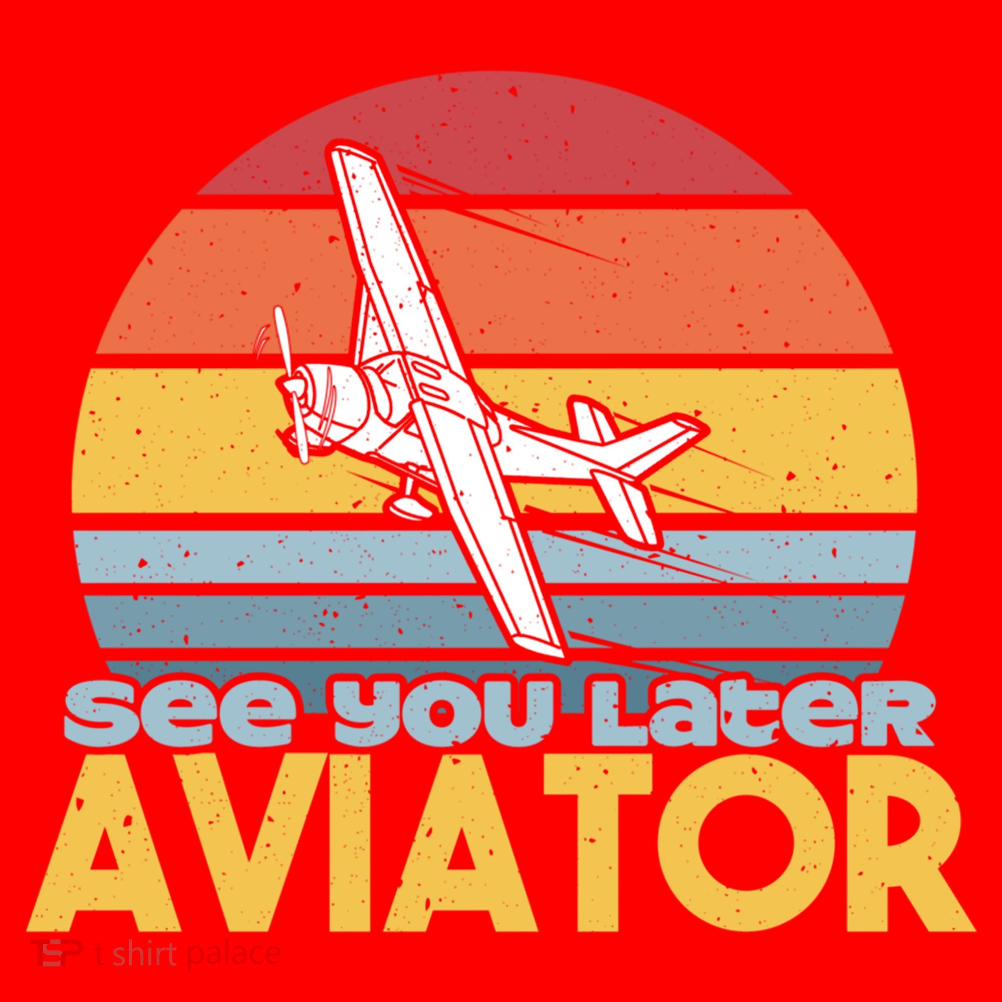 Funny Airplane Pilot Costume See You Later Aviator Pilot Meaningful Gift Santa Hat