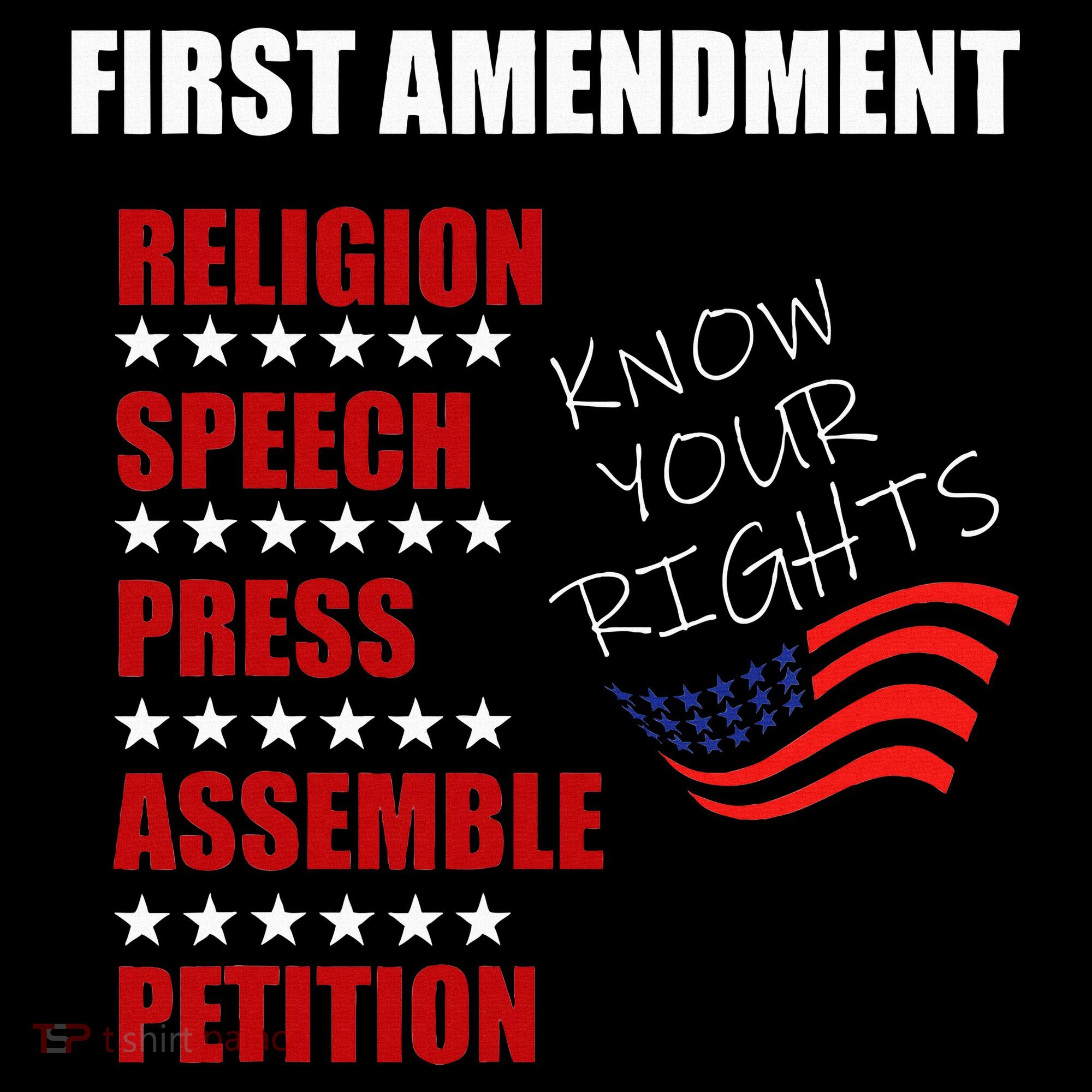 First Amendment Rights Audit United States Constitution Flag T-Shirt