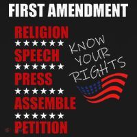 First Amendment Rights Audit United States Constitution Flag Polo thumb 3
