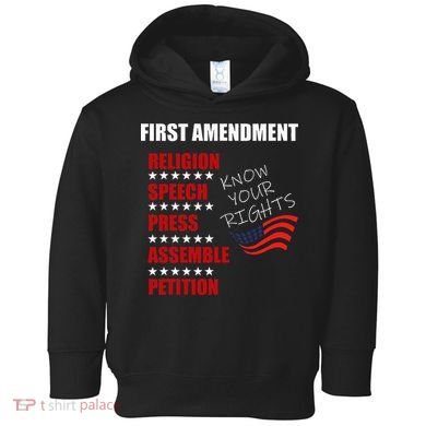 First Amendment Rights Audit United States Constitution Flag Toddler Hoodie