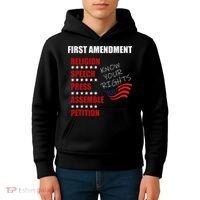 First Amendment Rights Audit United States Constitution Flag Kids Hoodie thumb 4