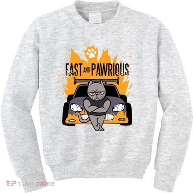 Fast And Pawrious Kids Sweatshirt