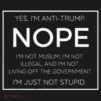 Funny Anti Trump Quote IM Just Not Stupid Ornament thumb 1